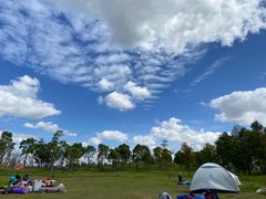 -春花秋色城市公园