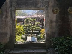 -十八棵（老龙井）御茶园(老龙井店)