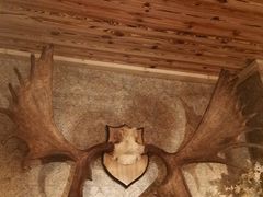 -秃鹫湾·推理大师沉浸式实景演绎推理剧场