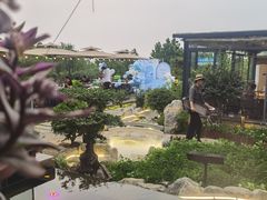 -蘇河湾·新鲁菜·泰山宴(泰山店)