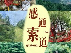 -苍山感通索道