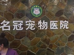 -宠颐生宠物医院·综合诊疗(先锋分院)