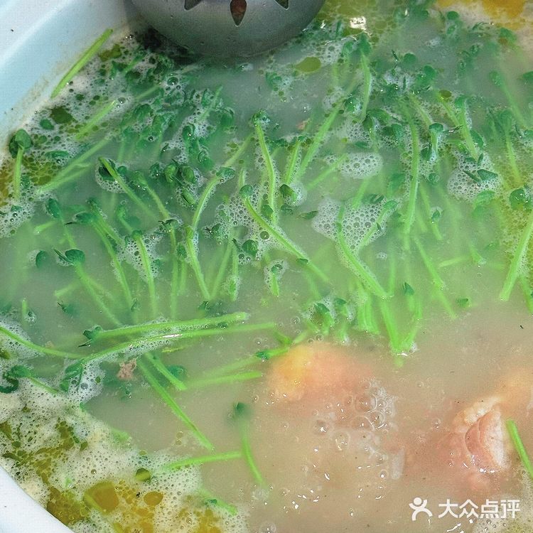 猪肚鸡汤烫野菜｜一口“栽”进春天里