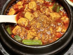 -陈麻婆豆腐总店