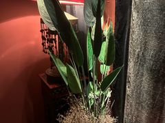 -花马天堂云南餐厅 Lost Heaven(外滩店)