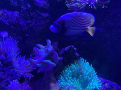 -太平洋海底世界