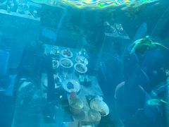 -海棠湾洲际-涛·海底餐厅·美人鱼·自助餐·海底隧道