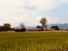 -良渚古城遗址公园
