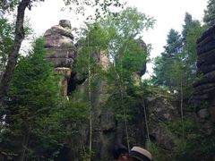 -五营红松林海景区