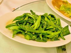 炒菜心-新陶陶酒家