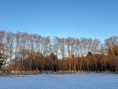 -北陵公园