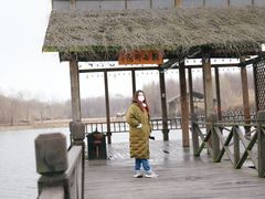 -溱湖国家湿地公园