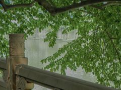 -成都市活水公园