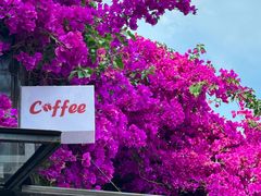 -KAFKA·卡夫卡咖啡(文林店)