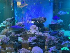 -碧中海汤泉汗蒸酒店