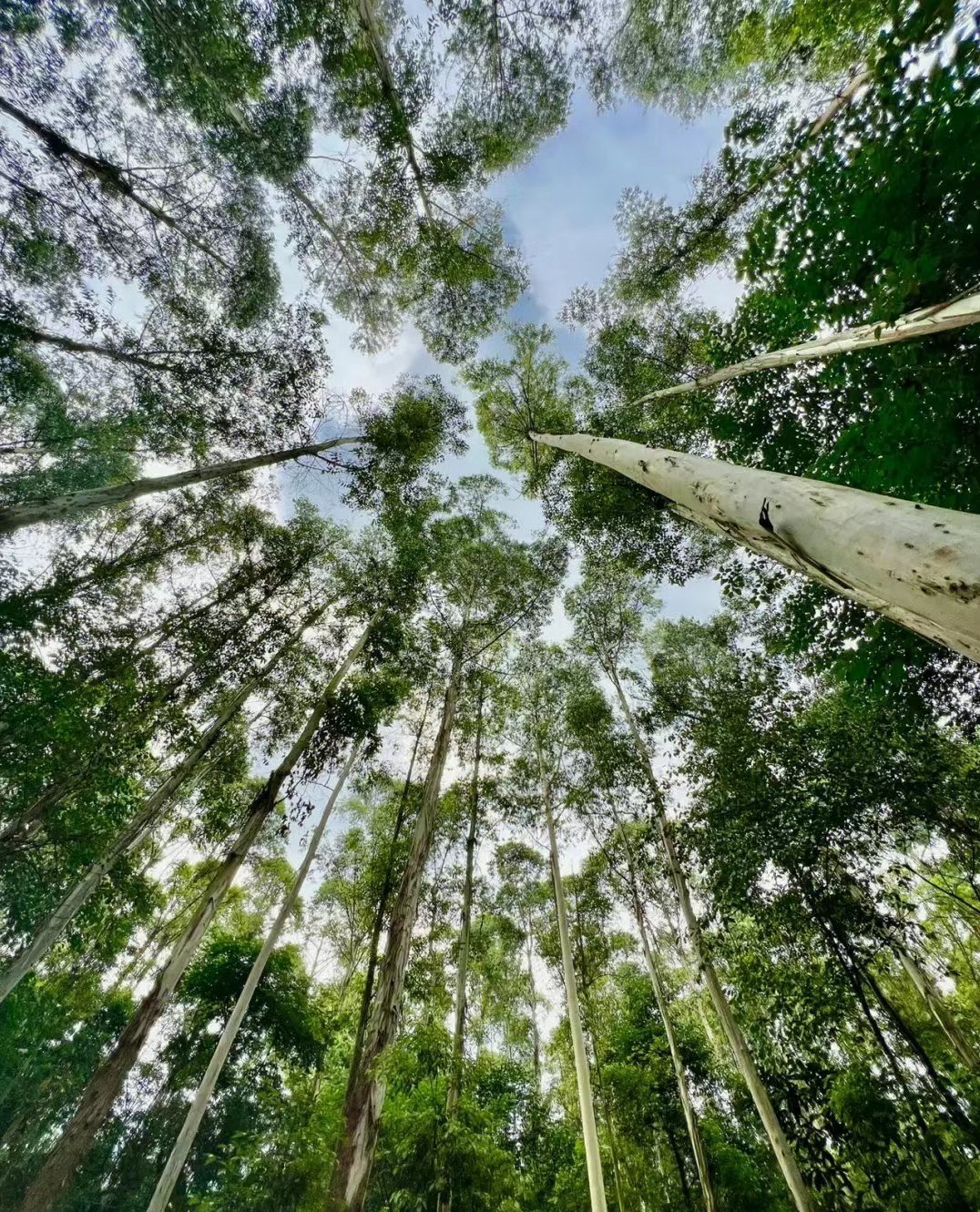 https://qcloud.dpfile.com/pc/eDKMW1EwnSgjpWHomlRigqzvosnZkzHAN7c0cQVfIr7vIwHBRclhpR2EDODBEPt5Y0q73sB2DyQcgmKUxZFQtw.jpg