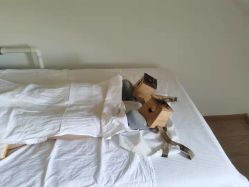 -佳医堂·小儿推拿·产后康复·脊柱养护(新华联家园店)