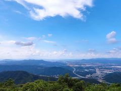 -黄埔油麻山森林公园