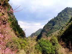 -苍山感通索道
