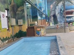 -望儿山温泉水乐园