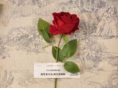 -Viviane's·花园餐厅