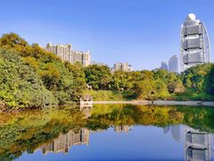 -深圳国际园林花卉博览园