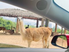 -杭州野生动物世界