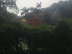 -虎英水上乐园