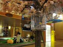 -汤泉良子(金源店)