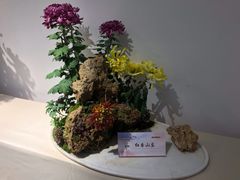 -汇龙潭