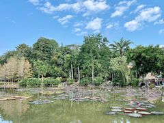 -中国科学院西双版纳热带植物园