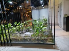 -CHIC1699远洋私厨