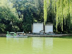 -团结湖公园