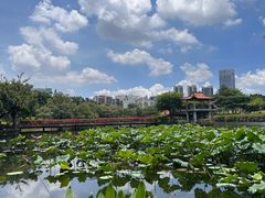 -深圳龙潭公园