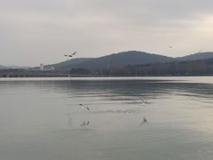 -水上明月·湖景餐厅