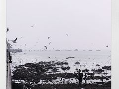 -栈桥景区