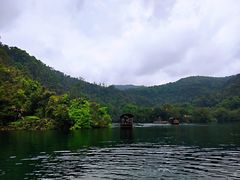 -鼎湖山风景区