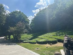 -敬亭山风景名胜区