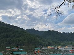 -黔灵山公园