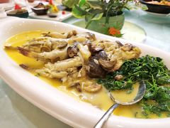 -翡翠29旋转餐厅·镇江国际雷迪森广场酒店