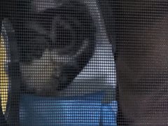-福州肆爪动物医院