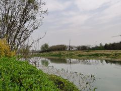 -两河城市森林公园