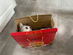 -德懋恭(西大街店)