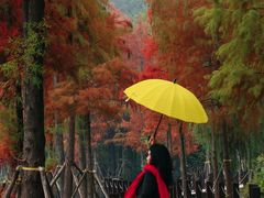 -重庆彩云湖湿地公园
