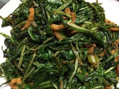 -草根堂农场