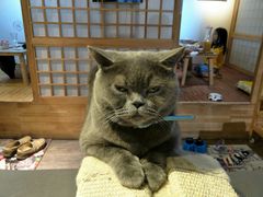 -小时光咖啡馆(开森度假森林店)