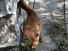 -北京凤凰岭