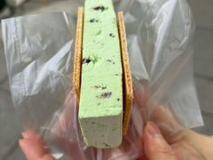 peppermint&nbsp;choc&nbsp;chip-詹爷爷乌节路街头冰淇淋