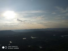 -南山植物园