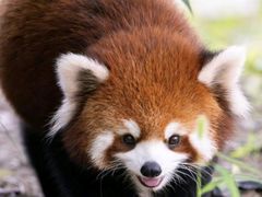 -常州淹城野生动物世界